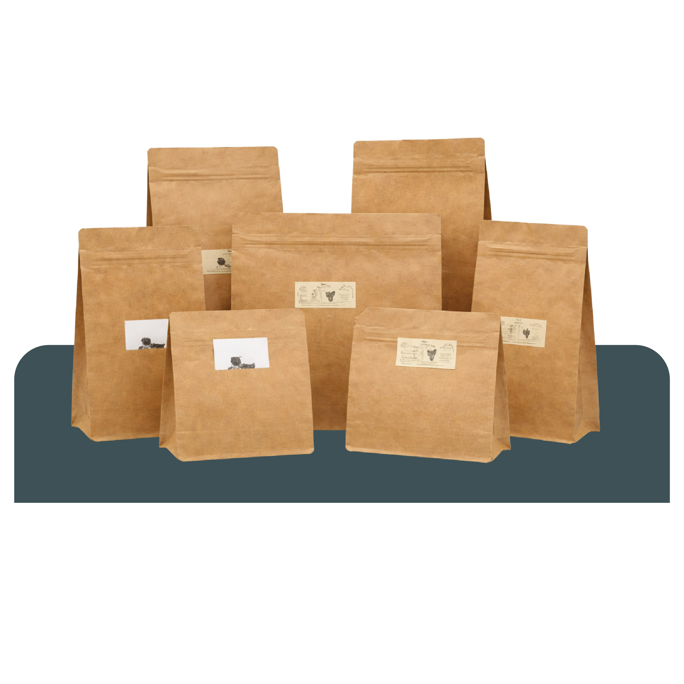 SG Print Pack-07 Eight Side Seal Zipper Coffee Bag with Pocket - Image 1